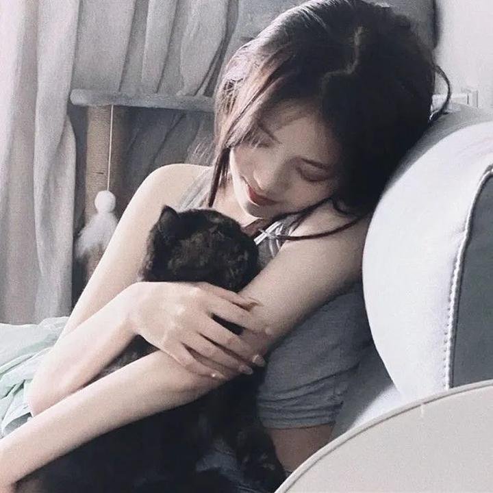 危机航线