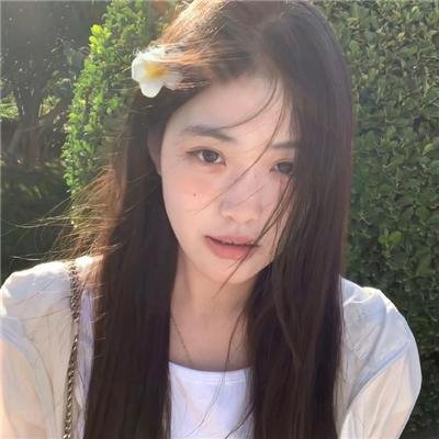 边境迷雾